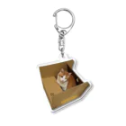 帽子や多帽の箱ねこボーちゃん Acrylic Key Chain