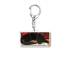 カエルの寝てる犬 Acrylic Key Chain