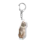 ソイねこもふもふのおこじょそい Acrylic Key Chain