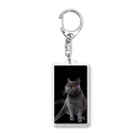 ねこのきまぐれの透けちゃったくつろぎブルー Acrylic Key Chain