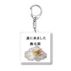 コーギー好きすぎてAAの遂に来ました換毛期 Acrylic Key Chain