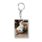 hyogo3000のMugi is Tanuki Acrylic Key Chain