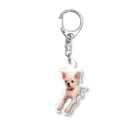 YJSのCHIHUANX アクリル Acrylic Key Chain