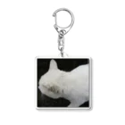 CHERRYSTONE🍒猫眼石検定の白猫 Acrylic Key Chain