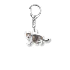 HAL🍭R556Pの造形のおかしい猫 Acrylic Key Chain