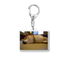 oochan03の柴犬 Acrylic Key Chain