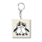 penguininkoの仲良く鳴き合うケープペンギン背景ありA アクリルキーホルダー