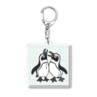 penguininkoの仲良く鳴き合うケープペンギン🐧背景ありC アクリルキーホルダー