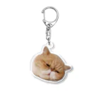 エキゾねこのこたつのエキゾねこのこたつ(溶けてる) Acrylic Key Chain