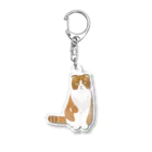 にゃんこまみれのしおんくん Acrylic Key Chain