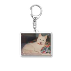 ♪mamashiro♪のリョク君 Acrylic Key Chain