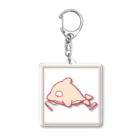 _dia_kのうみのいきものだわいわい_v3.0. Acrylic Key Chain