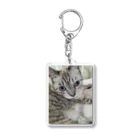 ねこの森でお散歩のフッワフワのシャムミックス Acrylic Key Chain