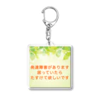 ドライ2の発達障害　発達ゆっくりさん Acrylic Key Chain