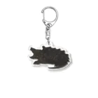 カメの歩みのワニガメ Acrylic Key Chain