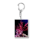 Lilly101のエビと珊瑚 Acrylic Key Chain