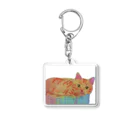 保護猫茶トラ兄弟LIFEのインコちゃん Acrylic Key Chain