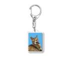 だの猫のタカラチャン Acrylic Key Chain