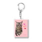 harupink🌸ペット似顔絵illustのアメショのアカリちゃん(REALver) Acrylic Key Chain