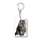 保護猫ファミリーの獅鳳コレクション2 Acrylic Key Chain