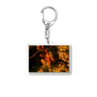 nokkccaのライトアップ紅葉 - Japanese maple(night shot) - Acrylic Key Chain