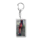 CHERRYSTONE🍒猫眼石検定の小熊猫（レッサーパンダ） Acrylic Key Chain