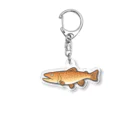 のぞみユニ🐟のブラウントラウト（カラー） アクリルキーホルダー