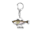 脂身通信Ｚの【魚シリーズ】ハタハタ♪221208 Acrylic Key Chain