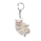 しろママのエキゾのしろちゃん② Acrylic Key Chain