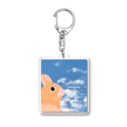 虹色PLUSの空を見上げて　うさぎさん Acrylic Key Chain