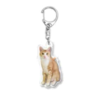 保護ねこの家のいつものラテ王子by黒豆猫 Acrylic Key Chain