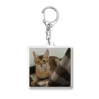 komugi_catのヤングコムギ Acrylic Key Chain