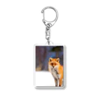 cow_cherry blossomsのNature of Hokkaido(Fox) Acrylic Key Chain