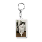 飴色の猫の紋さん(ペロリ) Acrylic Key Chain