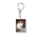 IMASAのボス猫 Acrylic Key Chain