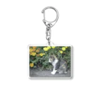 fmnのhometown cat Acrylic Key Chain