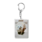 narunomiyaのアミー6 Acrylic Key Chain