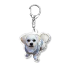 ソラプーのイケメン犬 Acrylic Key Chain