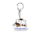 あいちゅｎんんんんのノリノリな鳥、アメリカヤマシギ Acrylic Key Chain