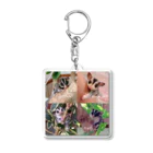 モモンガのしっぽの4 Sugar gliders! Acrylic Key Chain