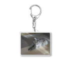 komachi_caaatのこまち Acrylic Key Chain