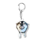 【ガルガルSHOP】柴犬大河と黒ラブ銀河の部屋の柴犬大河のガルガル・キーホルダー Acrylic Key Chain