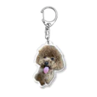 癒しわんこ🐶のチラ見トイプードル Acrylic Key Chain