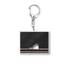 ゆりのセグロセキレイ Acrylic Key Chain