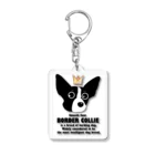 Bordercollie Streetのスムースボーダーコリー   smoothbordercollie アクリルキーホルダー