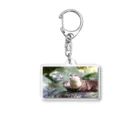 Ａｔｙショップの[Otter Life Day 770]サムネイル Acrylic Key Chain