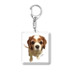 Tom's storeのデュークさん Acrylic Key Chain