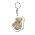 PITTEN PRODUCTSのPIXEL_ANIMAL_04(KOALA) アクリルキーホルダー