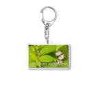  #satisfyingのコムラサキ　Callicarpa dichotoma Acrylic Key Chain