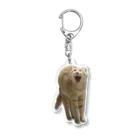 茶トラねこずのあくび猫のシロ Acrylic Key Chain